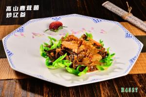 B4527高山鹿茸菌炒辽参