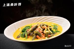 B4577上汤桑叶芽