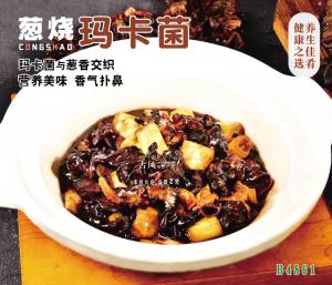 B4861葱烧玛卡菌