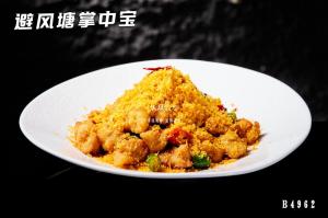 B4962避风塘掌中宝