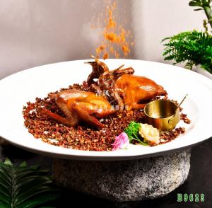 B9623妙龄脆乳鸽