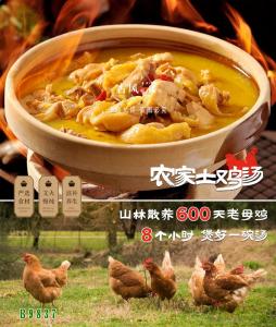 B9837土鸡汤 黄焖土鸡