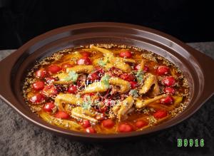 B9916椒麻沸腾秒龄鸽