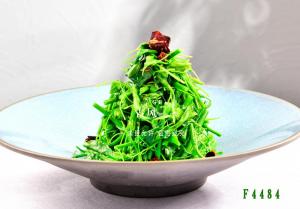 F4484炝拌辣木苗  炝拌丝瓜苗