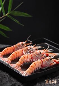 H480鳌虾