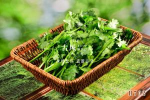 H702香菜