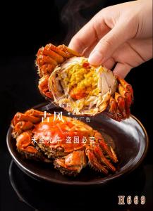 H669大闸蟹 湖蟹