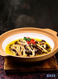 H953鹿茸菇烧猪肚