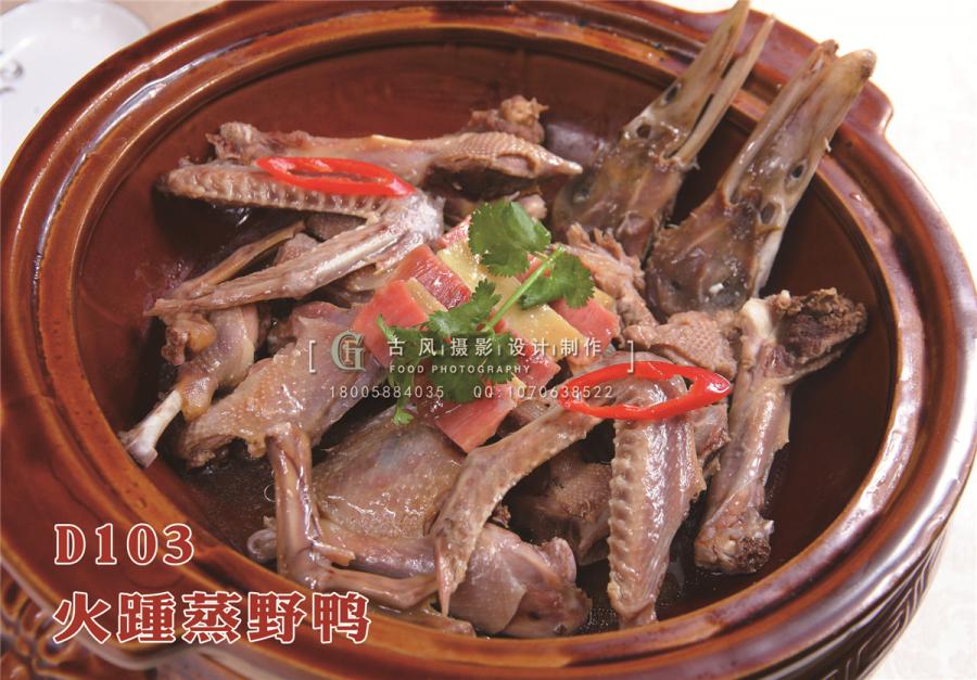 D103火踵蒸野鸭