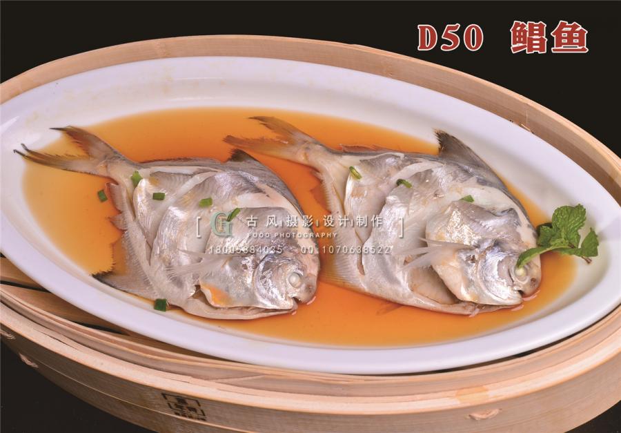 D50鲳鱼