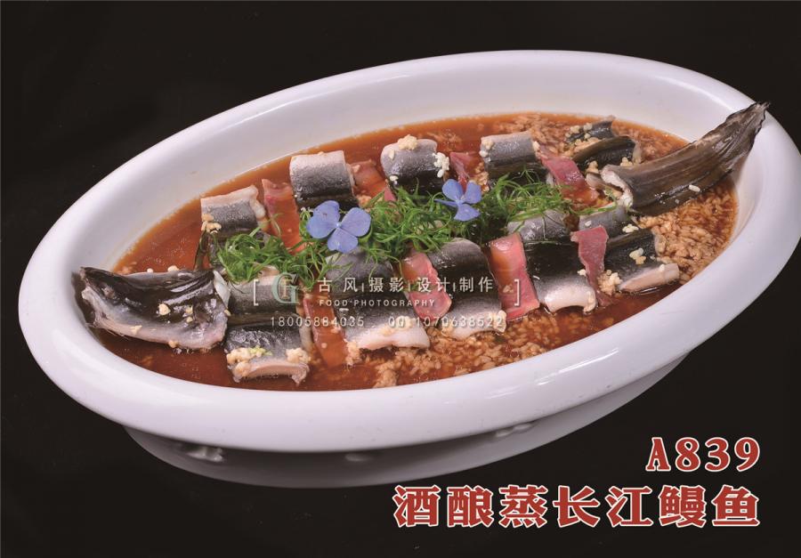 A839酒酿蒸长江鳗鱼
