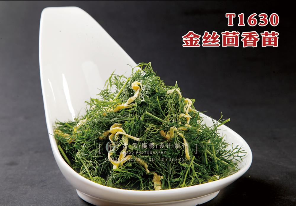 T1630金丝茴香苗 副本