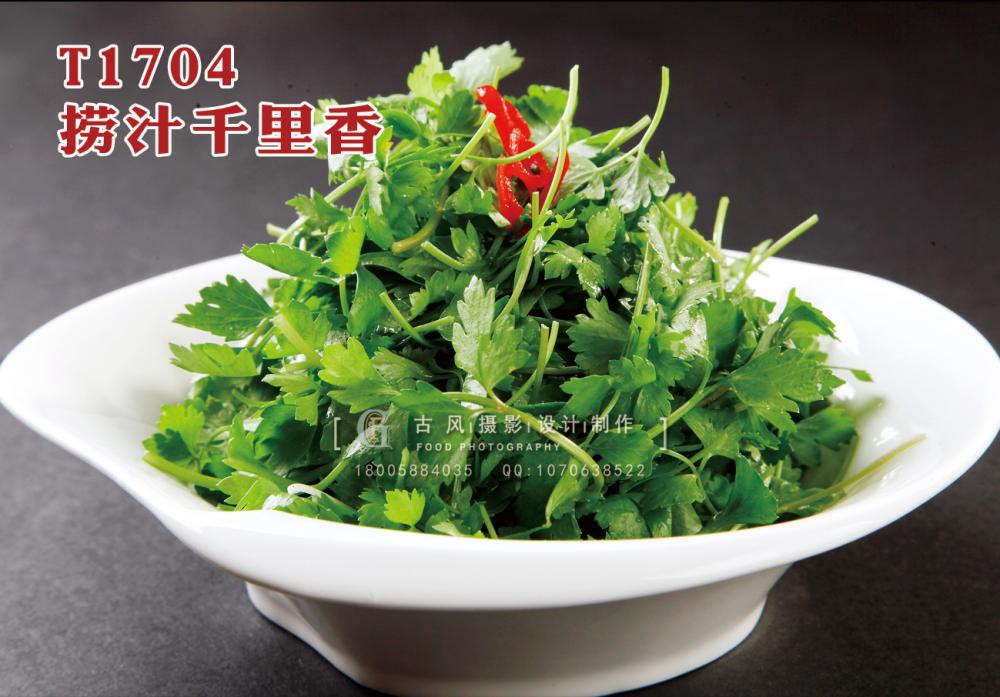 T1704捞汁千里香 副本