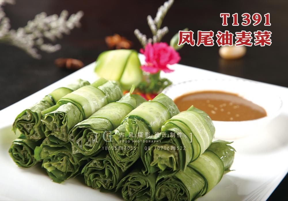 T1391凤尾油麦菜 副本