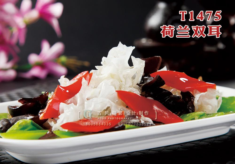T1475荷兰双耳 副本