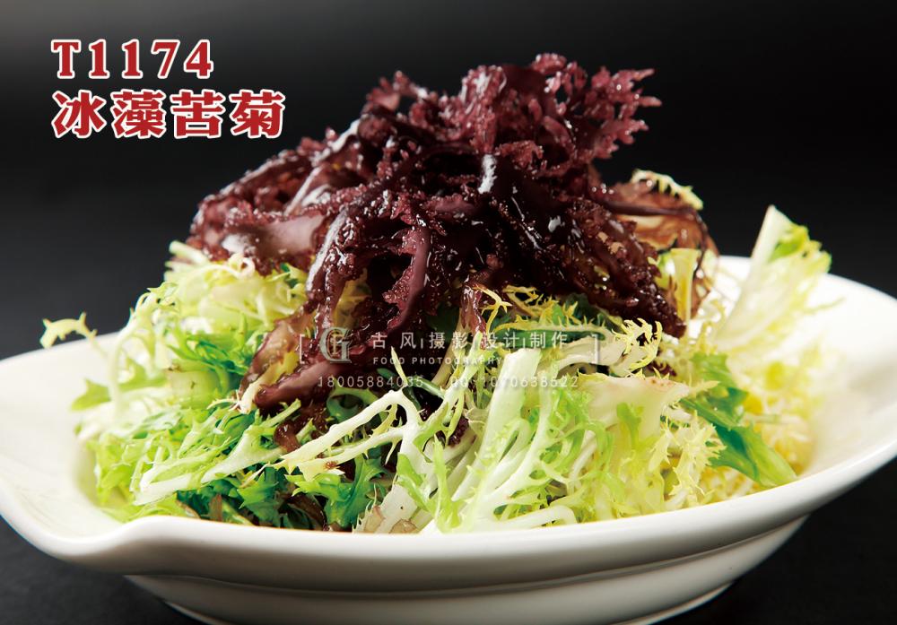 T1174冰藻苦菊 副本