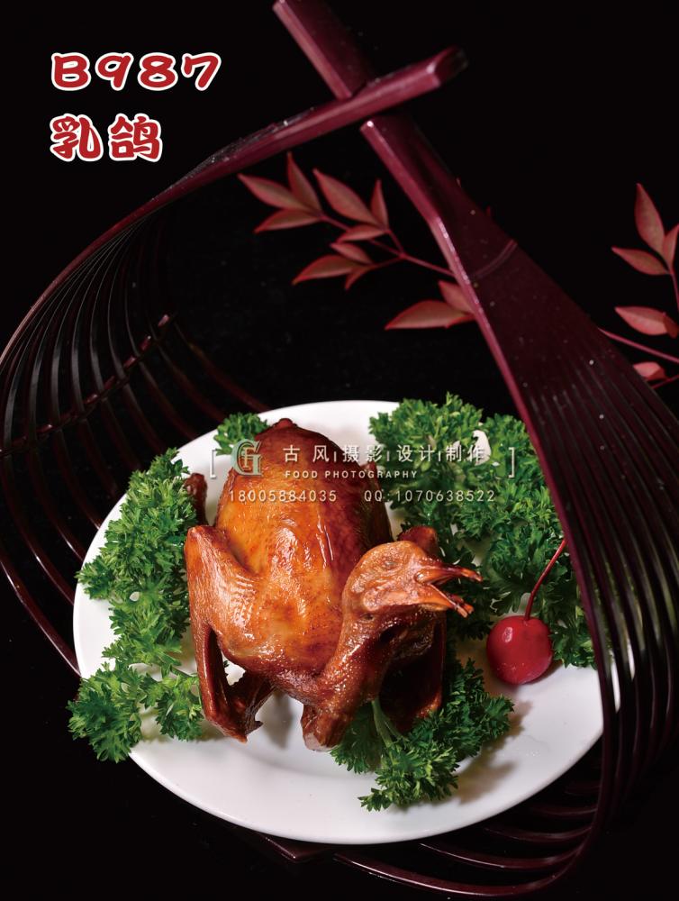 B987乳鸽 (2) 副本