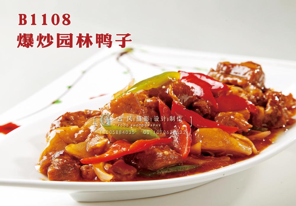 B1108爆炒园林鸭子 副本