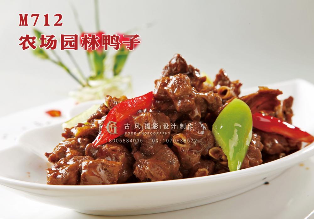 M712农场园林鸭子 副本