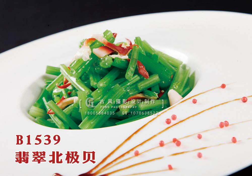 B1539翡翠北极贝 副本