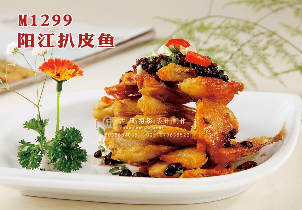 M1299阳江扒皮鱼 副本