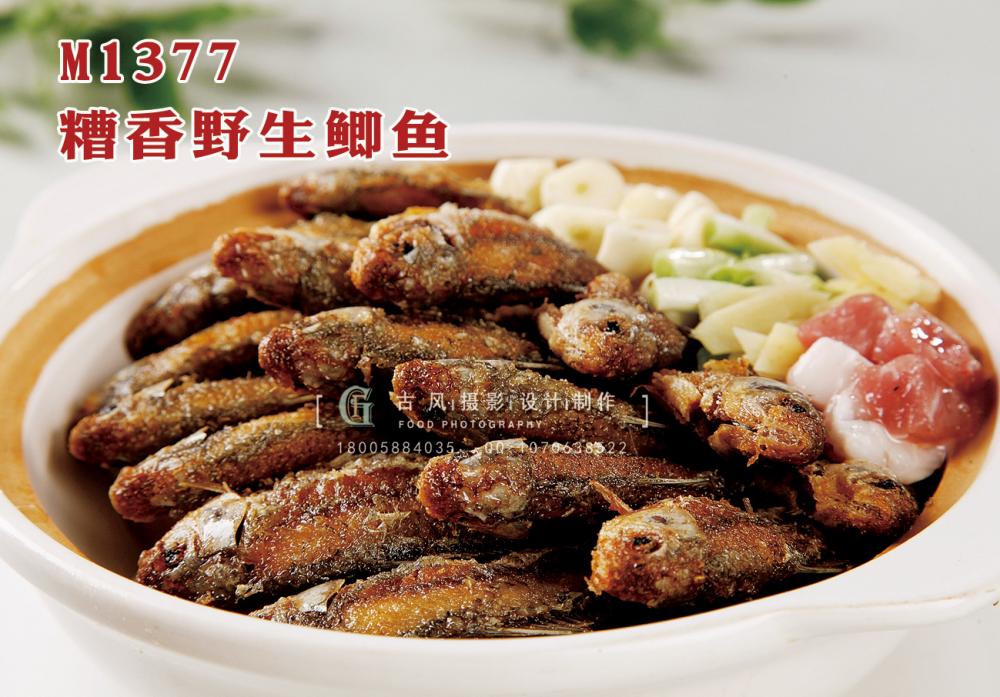 M1377糟香野生鲫鱼 副本