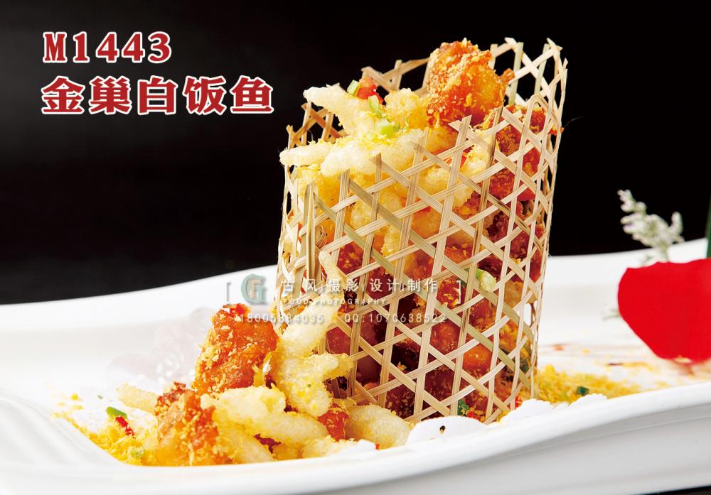 M1443金巢凤节白饭鱼 副本