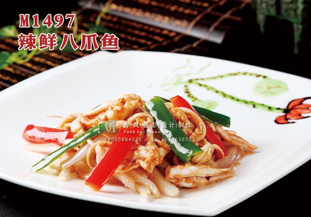 M1497辣鲜八爪鱼 副本