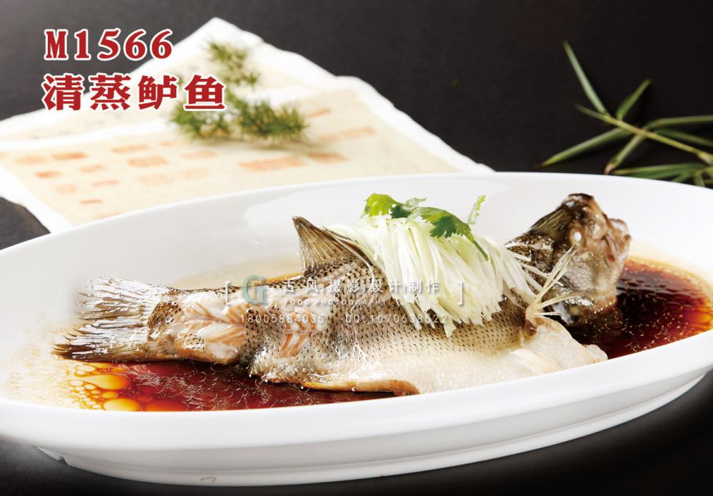 M1566清蒸鲈鱼 副本