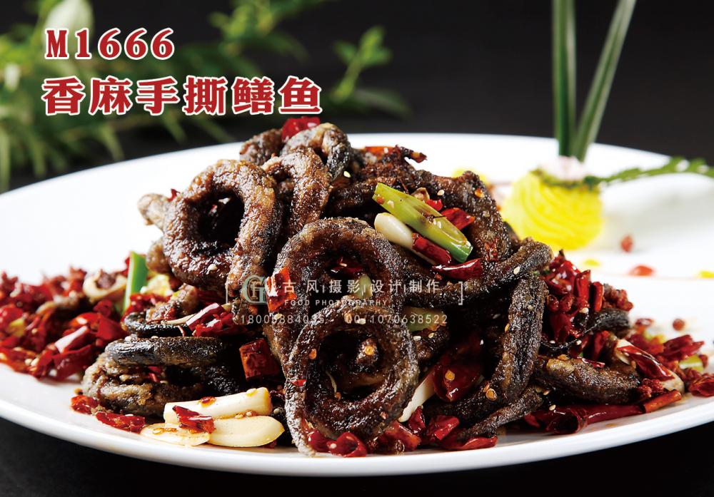 M1666香麻手撕鳝鱼 副本