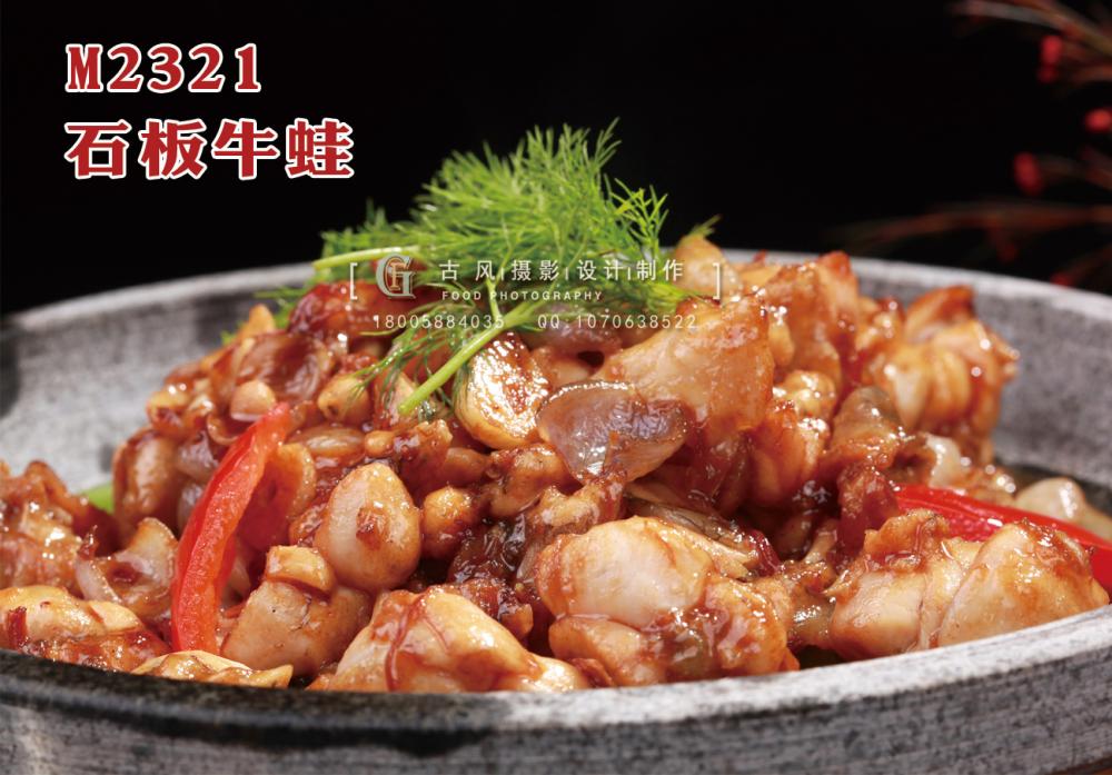 M2321石板牛蛙 副本