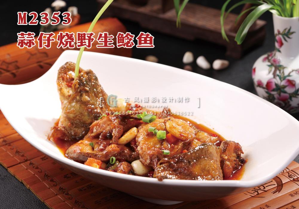 M2353蒜仔烧野生鲶鱼 副本