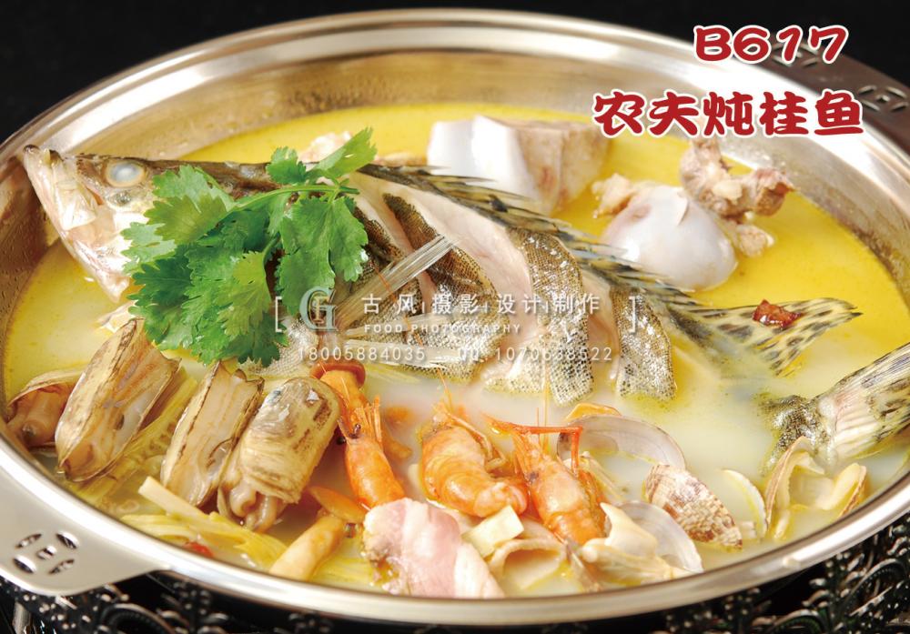 B617农夫炖桂鱼 副本