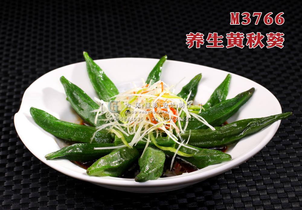 M3766养生黄秋葵 副本
