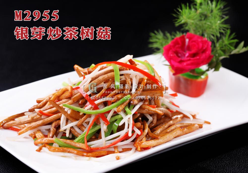 M2955银芽炒茶树菇 副本