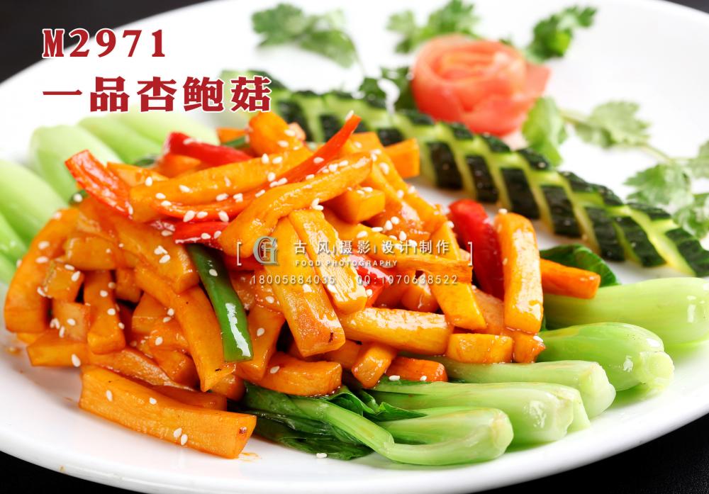 M2971一品杏鲍菇 副本