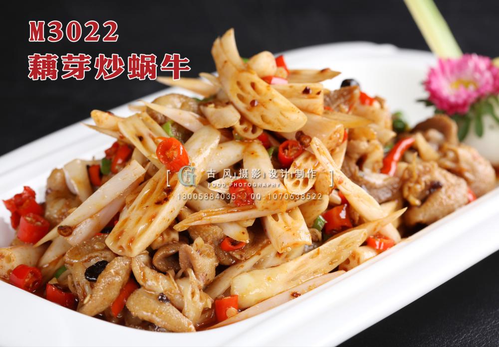 M3022藕芽炒蜗牛 副本