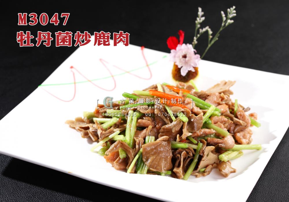 M3047牡丹菌炒鹿肉 副本