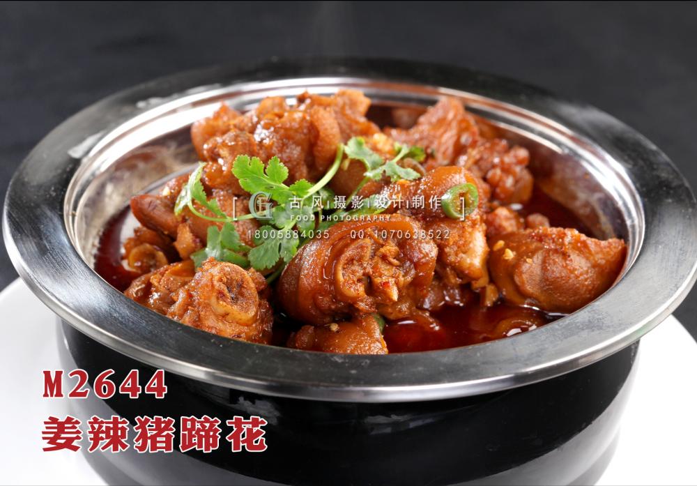 M2644姜辣猪蹄花 副本
