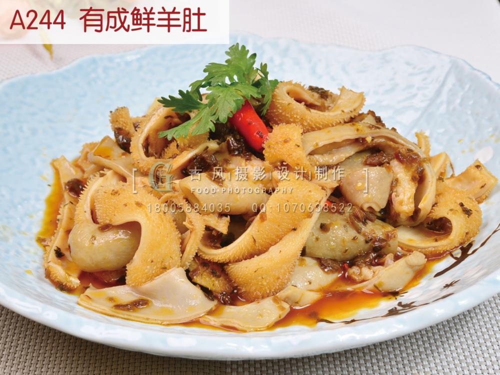A244  有成鲜羊肚
