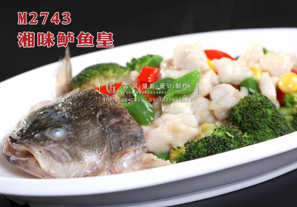 M2743湘味鲈鱼皇 副本