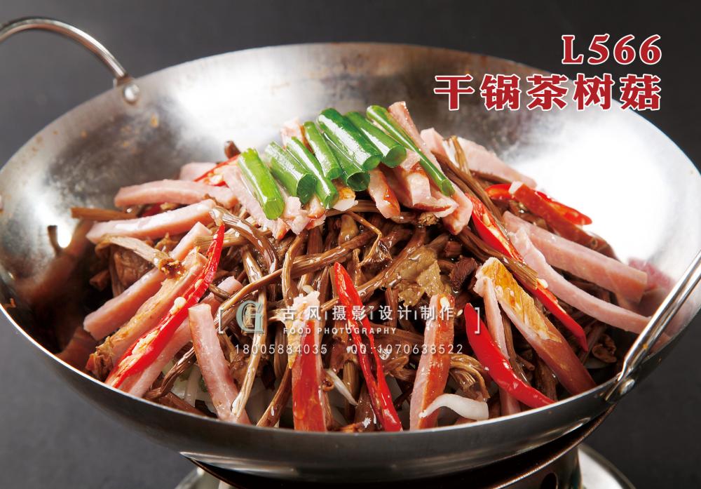 L566干锅茶树菇 副本