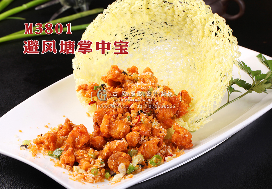 M3801避风塘掌中宝 副本