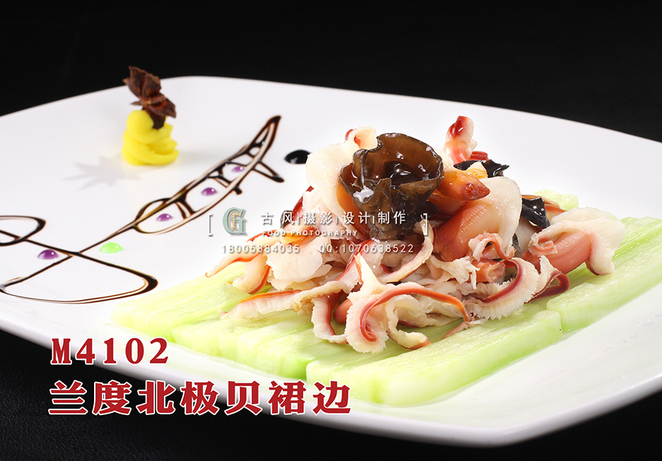 M4102兰度北极贝裙边 副本