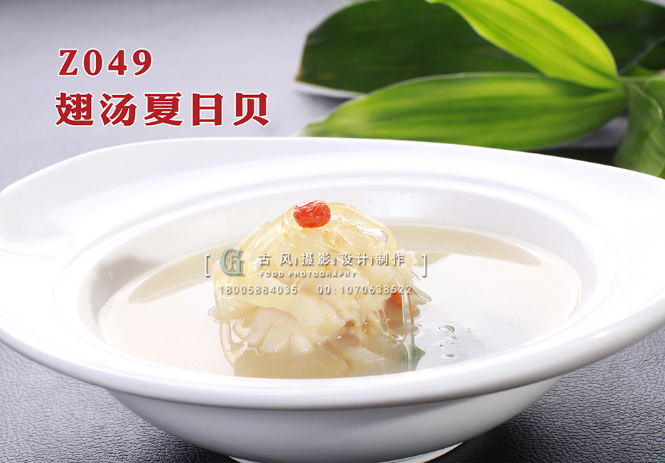 Z049翅汤夏日贝 副本