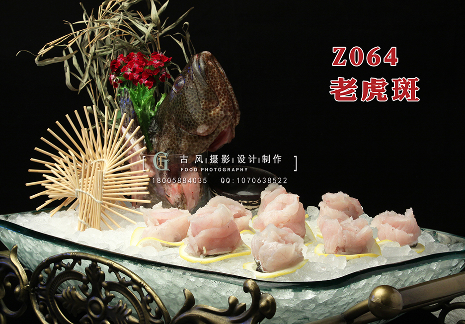 Z064老虎斑 副本