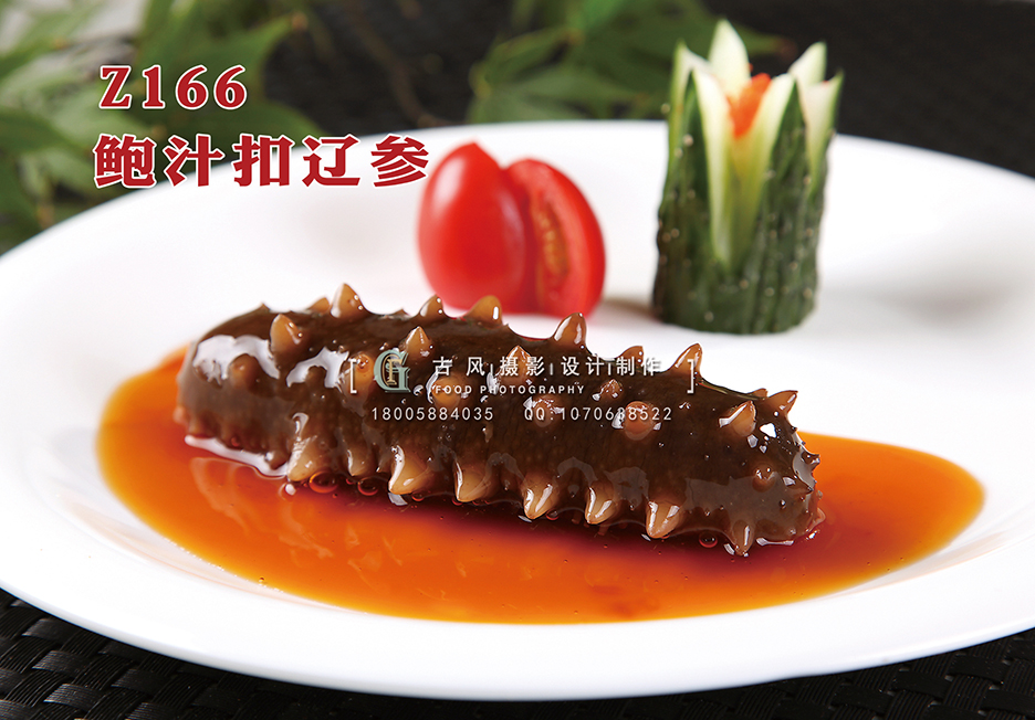 Z166鲍汁扣辽参 副本