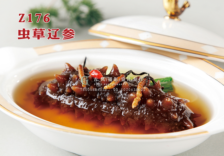 Z176虫草辽参 副本