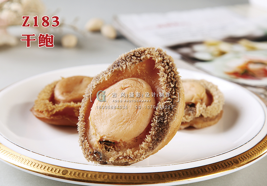 Z183干鲍 副本
