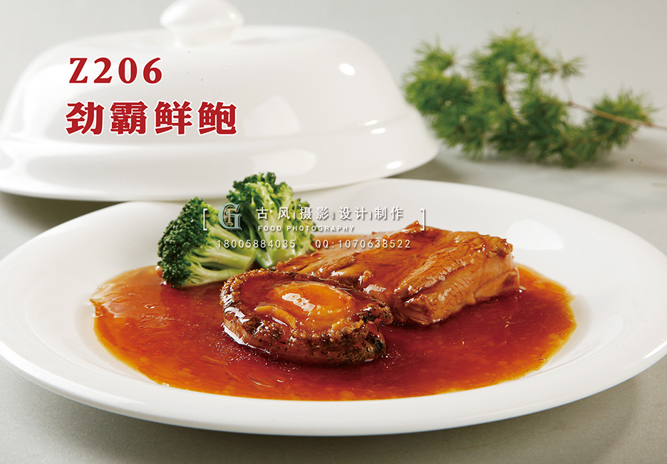 Z206劲霸鲜鲍 副本